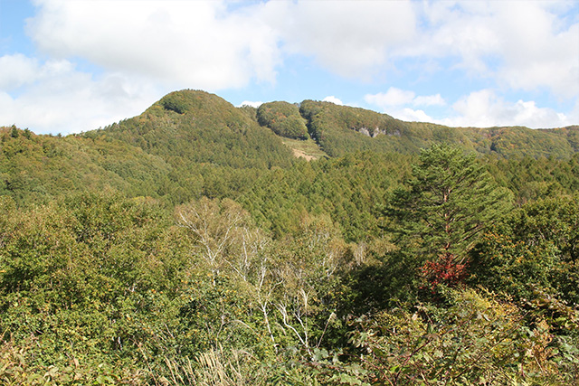 水上高原周辺(夏)
