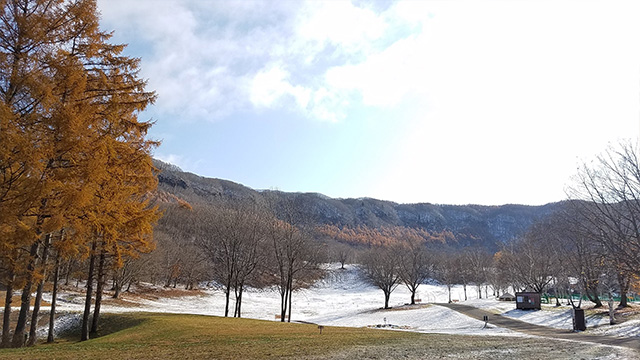 水上高原周辺環境(冬)