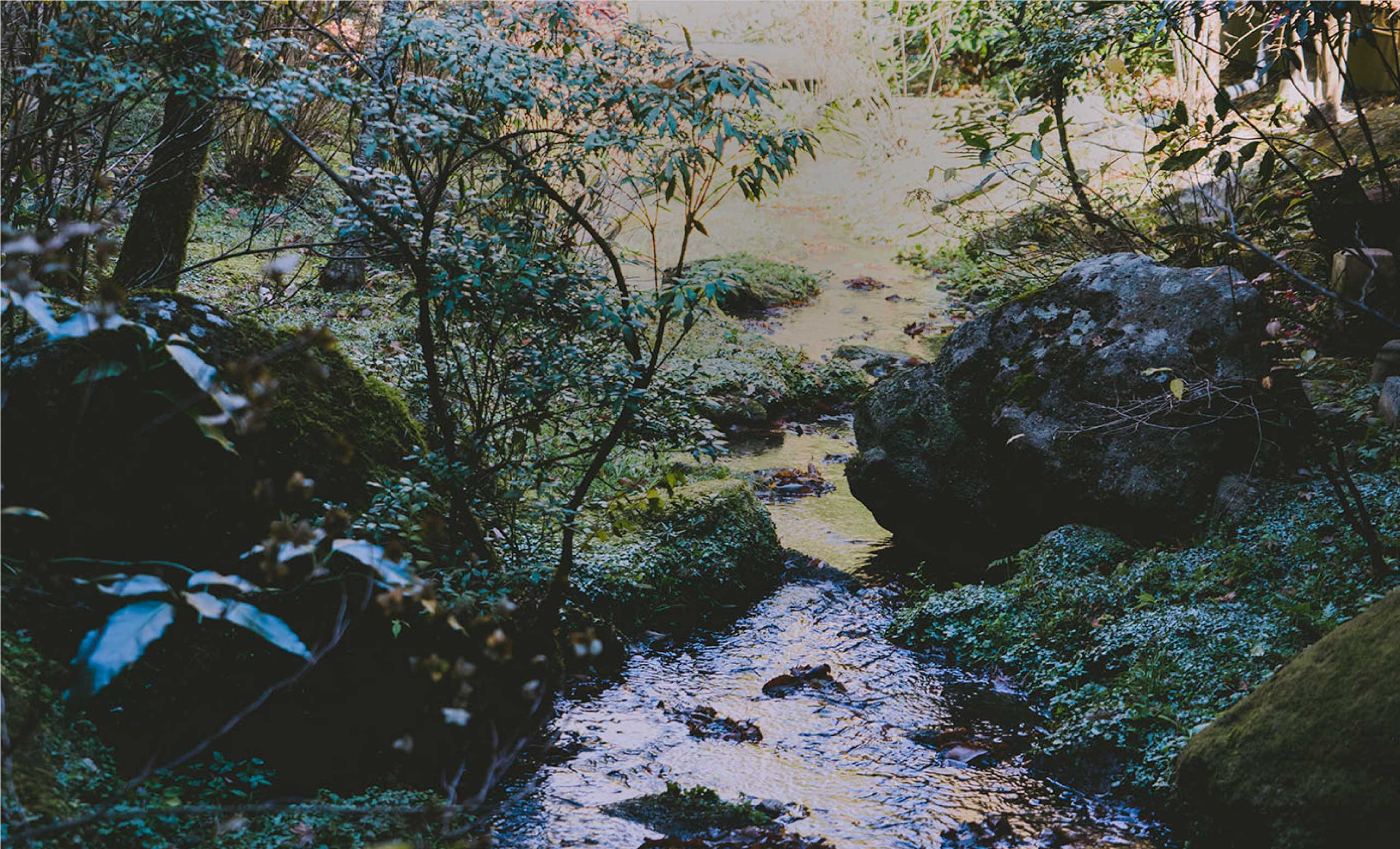 山みず水周辺環境
