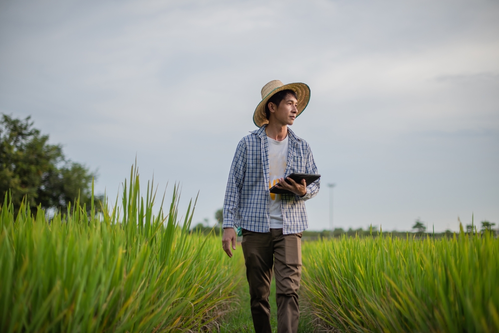 移住体験（お試し移住）をしている人